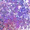 12 Pack: Color Shift Purple &#x26; Teal Specialty Polyester Glitter by Recollections&#x2122;
